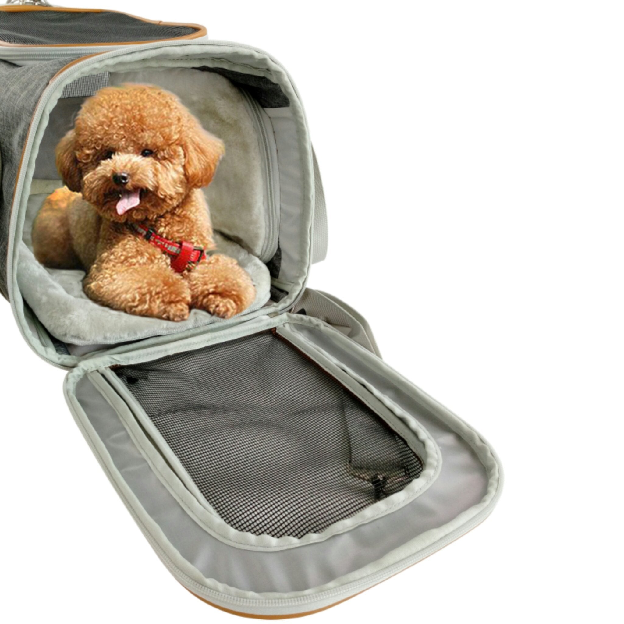Soft Mesh Pet Carrier