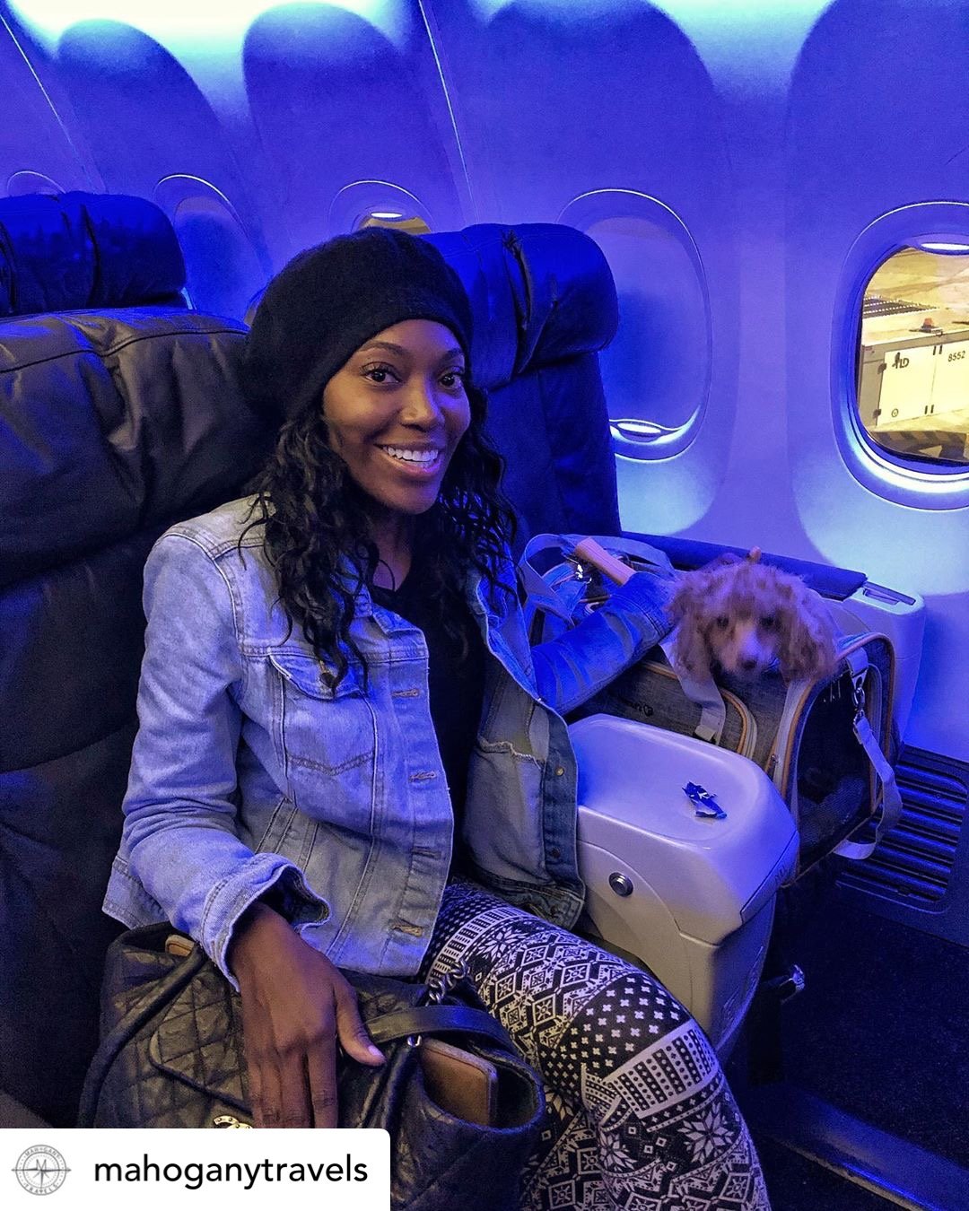 Soft Mesh Pet Carrier