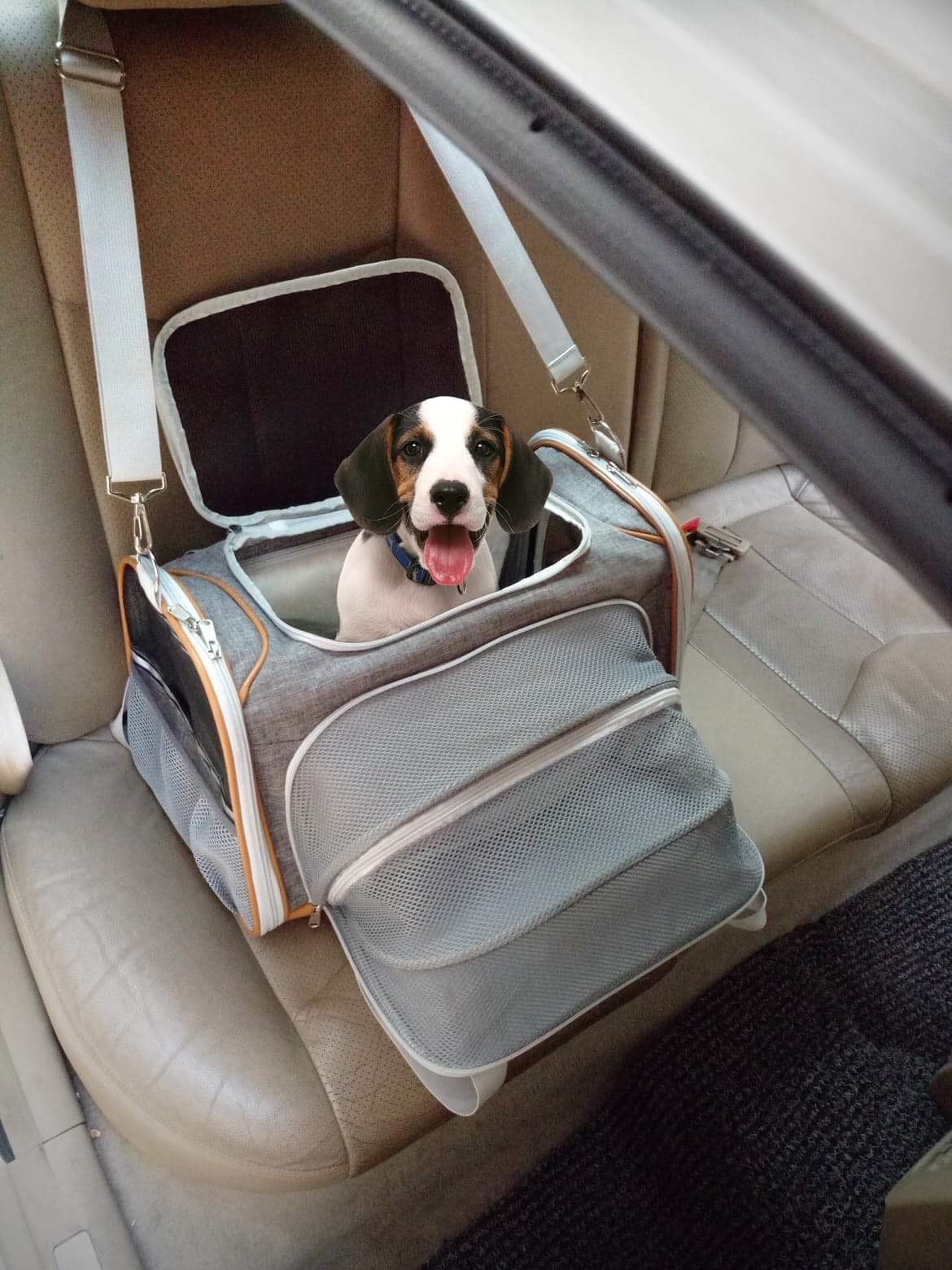 Soft Mesh Pet Carrier